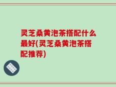 灵芝桑黄泡茶搭配什么最好(灵芝桑黄泡茶搭配推荐)