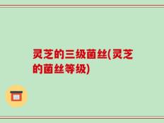 灵芝的三级菌丝(灵芝的菌丝等级)