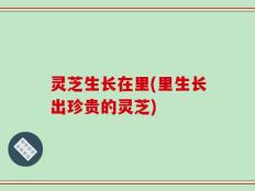 灵芝生长在里(里生长出珍贵的灵芝)