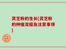灵芝粉的生长(灵芝粉的种植流程及注意事项)