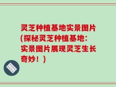 灵芝种植基地实景图片(探秘灵芝种植基地：实景图片展现灵芝生长奇妙！)