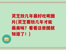 灵芝放几年最好吃呢图片(灵芝要放几年才能最美味？看看这些图就知道了！)