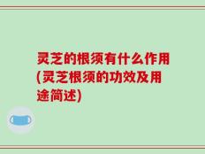 灵芝的根须有什么作用(灵芝根须的功效及用途简述)