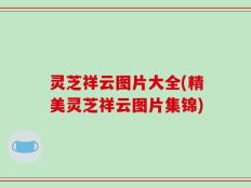 灵芝祥云图片大全(精美灵芝祥云图片集锦)