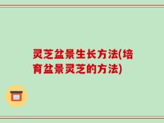 灵芝盆景生长方法(培育盆景灵芝的方法)