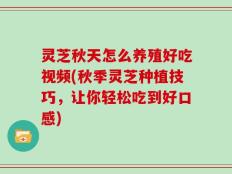 灵芝秋天怎么养殖好吃视频(秋季灵芝种植技巧，让你轻松吃到好口感)