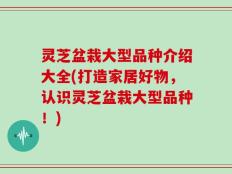 灵芝盆栽大型品种介绍大全(打造家居好物，认识灵芝盆栽大型品种！)