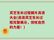 灵芝生长过程图片高清大全(高清灵芝生长过程完整展示，惊叹自然的力量！)