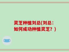 灵芝种植刘总(刘总：如何成功种植灵芝？)