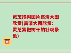灵芝抱树图片高清大图欣赏(高清大图欣赏：灵芝紧抱树干的壮观景象)