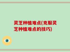 灵芝种植难点(克服灵芝种植难点的技巧)