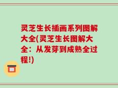 灵芝生长插画系列图解大全(灵芝生长图解大全：从发芽到成熟全过程!)