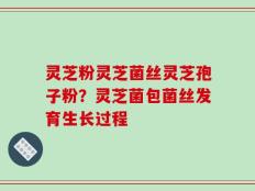 灵芝粉灵芝菌丝灵芝孢子粉？灵芝菌包菌丝发育生长过程