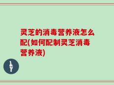 灵芝的消毒营养液怎么配(如何配制灵芝消毒营养液)