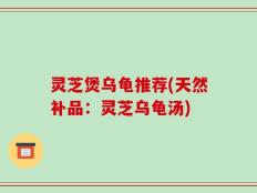 灵芝煲乌龟推荐(天然补品：灵芝乌龟汤)