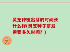 灵芝种植出芽的时间长什么样(灵芝种子萌发需要多久时间？)