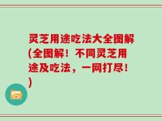 灵芝用途吃法大全图解(全图解！不同灵芝用途及吃法，一网打尽！)