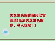 灵芝生长图像图片欣赏高清(高清灵芝生长图像，令人惊叹！)