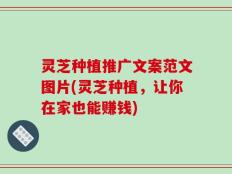 灵芝种植推广文案范文图片(灵芝种植，让你在家也能赚钱)