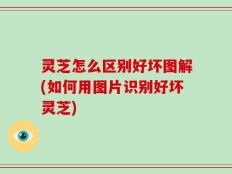 灵芝怎么区别好坏图解(如何用图片识别好坏灵芝)