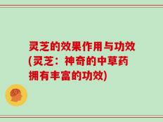 灵芝的效果作用与功效(灵芝：神奇的中草药拥有丰富的功效)