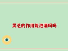 灵芝的作用能泡酒吗吗