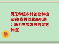 灵芝种植农村创业种植三农(农村创业新机遇：助力三农发展的灵芝种植)