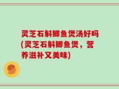 灵芝石斛鲫鱼煲汤好吗(灵芝石斛鲫鱼煲，营养滋补又美味)