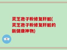 灵芝孢子粉修复肝脏(灵芝孢子粉修复肝脏的新健康神物)