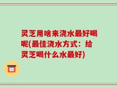 灵芝用啥来浇水最好喝呢(最佳浇水方式：给灵芝喝什么水最好)