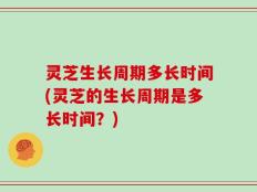 灵芝生长周期多长时间(灵芝的生长周期是多长时间？)