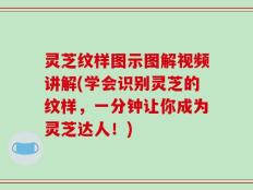 灵芝纹样图示图解视频讲解(学会识别灵芝的纹样，一分钟让你成为灵芝达人！)