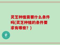 灵芝种植需要什么条件吗(灵芝种植的条件要求有哪些？)