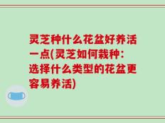 灵芝种什么花盆好养活一点(灵芝如何栽种：选择什么类型的花盆更容易养活)