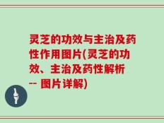 灵芝的功效与主治及药性作用图片(灵芝的功效、主治及药性解析 -- 图片详解)