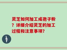 灵芝如何加工成孢子粉？详细介绍灵芝的加工过程和注意事项？