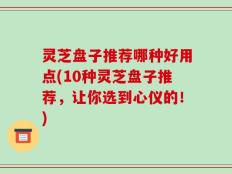 灵芝盘子推荐哪种好用点(10种灵芝盘子推荐，让你选到心仪的！)