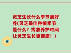 灵芝生长什么季节最好养(灵芝最佳种植季节是什么？找准养护时间让灵芝生长更健康！)