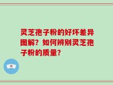 灵芝孢子粉的好坏差异图解？如何辨别灵芝孢子粉的质量？