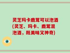灵芝玛卡鹿茸可以泡酒(灵芝、玛卡、鹿茸混泡酒，既美味又神奇)