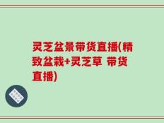 灵芝盆景带货直播(精致盆栽+灵芝草 带货直播)