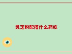 灵芝粉配搭什么药吃
