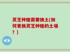 灵芝种植需要换土(如何更换灵芝种植的土壤？)