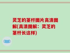 灵芝的茎杆图片高清图解(高清图解：灵芝的茎杆长这样)