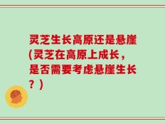 灵芝生长高原还是悬崖(灵芝在高原上成长，是否需要考虑悬崖生长？)