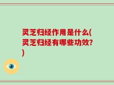 灵芝归经作用是什么(灵芝归经有哪些功效？)