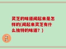 灵芝的味道闻起来是怎样的(闻起来灵芝有什么独特的味道？)