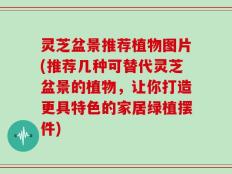 灵芝盆景推荐植物图片(推荐几种可替代灵芝盆景的植物，让你打造更具特色的家居绿植摆件)