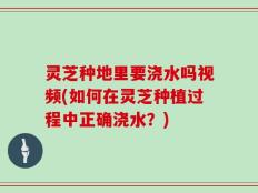 灵芝种地里要浇水吗视频(如何在灵芝种植过程中正确浇水？)