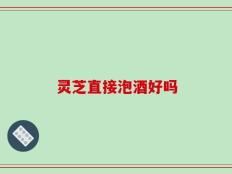 灵芝直接泡酒好吗